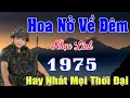 Lagu Hoa Nở Về Đêm, Áo Em Chưa Mặc Một Lần..Nhạc Bolero Trữ Tình Hay Nhất 2025, Liên Khúc Nhạc Xưa Bất Hủ