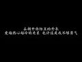 天天看到你 阿杜 (歌词版)