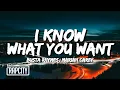 Download Lagu Busta Rhymes, Mariah Carey - I Know What You Want (Lyrics) ft. Flipmode Squad
