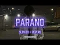 Lagu Parano - Frozy (slowed + reverb) 