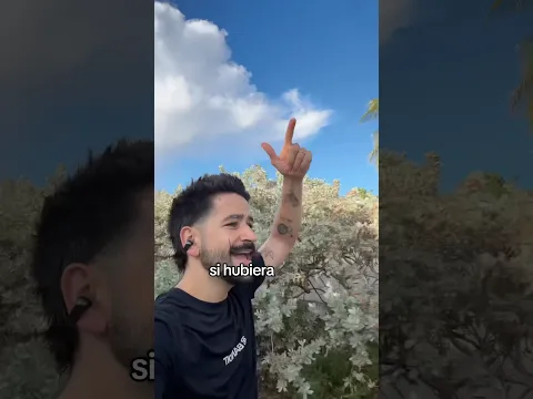 Oigan El Árbol sale el 3 de septiembre baiiii 🫢