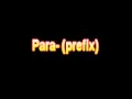 What Is The Definition Of Para prefix Medical School Terminology Dictionary