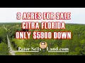 SOLD 8 Acres FLORIDA HUNTING LAND For Sale - Citra FL Owner Finance