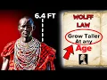 Wolff s Law Revealed The Science Backed Method to Increase Your HEIGHT Hindi