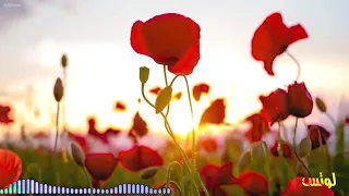 اجمل ما غنت وردة يا خبر 