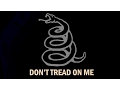 Download Lagu Metallica - DON'T TREAD ON ME [2016 REMASTER MARK III]