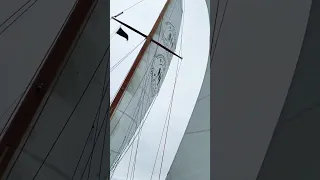 Work hard, dream big 🤙🏻 #sailboat #shorts #reels #adventure