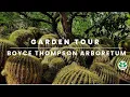 Exploring Arizona s Oldest and Largest Botanical Garden Boyce Thompson Arboretum