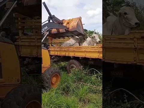 La Idea del Granjero 🚜🐄
