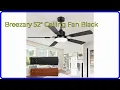 REVIEW 2026 Breezary 52 Ceiling Fan Black First Look