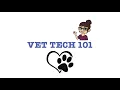Veterinary Assistant Vs Veterinary Technician