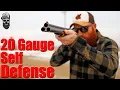 20 Gauge Shotgun For Self Defense