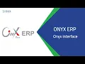 ONYX ERP - Onyx interface