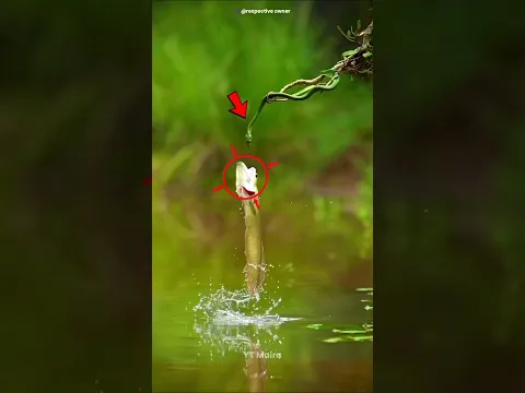 #bts
