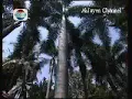 Download Lagu Revi Mariska - Kejamnya Dunia [ Ost. Kabut Kabut Cinta ] Versi Indosiar