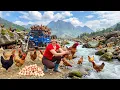 Lagu TIMELAPSE -- 226 Days Harvesting Many Giant Forest Chicken by the Stream, Caring for 1000+ Duck, Pig