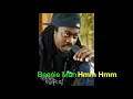 Beenie Man   Hmm Hmm       CEV