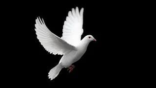 Salah LaahathYasharaal MaYahawah WaYahawashi  Salah LaahathYasharaal MaYahawah WaYahawashi