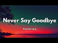 Download Lagu 💔 Never Say Goodbye (Lyrics ) | Emotional Love Song | Heartfelt Romantic Ballad 🎶
