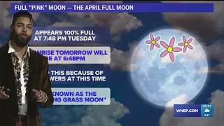 Download Earth Day looks fantastic, but several chilly nights are on the horizon MP3