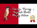 Download Lagu 1 🔴 TOP Masteran Cendet Juara 🥇🏆🚩