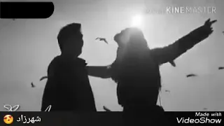 اجمل حالات واتس اب 2018 انت الافراح بروحي 