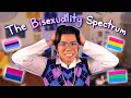 The Problem with The Bisexuality Spectrum