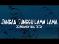 Lagu Jangan Tunggu Lama Lama Lirik - Cici Paramida | Viral Tiktok