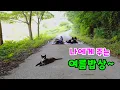 Download Lagu 더운 여름, 나에게 주는 여름밥상~