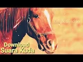 Download Lagu Efek Suara Kuda | Durasi Pendek Gratis