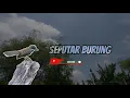 Download Lagu Suara pikat burung sikatan kipas audio jernih bagus untuk masteran