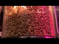 JavaMaster 3002 1080p