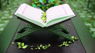 024 سورة النور أبو بكر الشاطري بدون اعلانات 