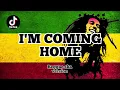 Download Lagu DJ I'M COMING HOME REGGAE SKA VERSION