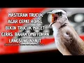 Lagu Trucukan GACOR ngalas ROPEL PANJANG suara alam AMPUH buat pancingan jadikan trucuk Gacor GARUDA