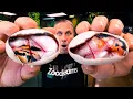 INSANE PIEDS HATCH WHILE CUTTING SNAKE EGGS BRIAN BARCZYK