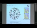 Dr Tyler McCormick Multiresolution network models