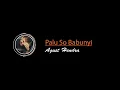 Download Lagu Palu So BaBunyi || Agust Hendra (Cover)