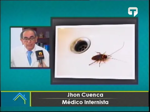 ¿Por qué no debe pisar cucaracha OMS advierte de los riesgos para la salud?