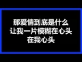 王杰 - 《她的背影》 [歌词]