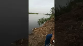 سورة طه تجويد مؤثر بصوت الشيخ جمال الصعيدي 