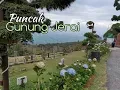 Download Lagu Puncak Gunung Jerai