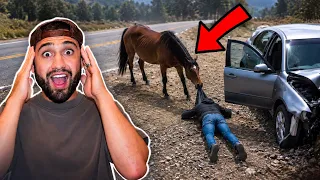 Horse Saves Man by Dragging Him to a Hospital