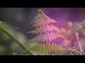 Wildflowers ✿⊱╮Tom Petty (lyrics) HD