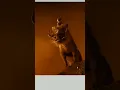 Download Lagu Mufasa The lion king part 4