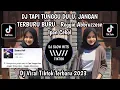 Download Lagu DJ TAPI TUNGGU DULU, JANGAN TERBURU BURU IPAN CEBOL VIRAL TIKTOK TERBARU