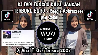 dj tapi tunggu dulu jangan terburu buru ipan cebol viral tiktok terbaru