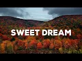Download Lagu Sweet Dream  - Jang Nara | Best Guitar Ronamtic Music