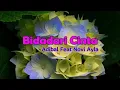 Download Lagu Bidadari Cinta - ADIBAL FEAT NOVI AYLA  ( LIRIK )