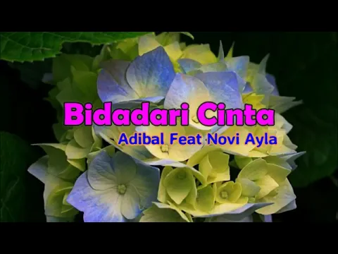 Download MP3 Bidadari Cinta - ADIBAL FEAT NOVI AYLA  ( LIRIK )